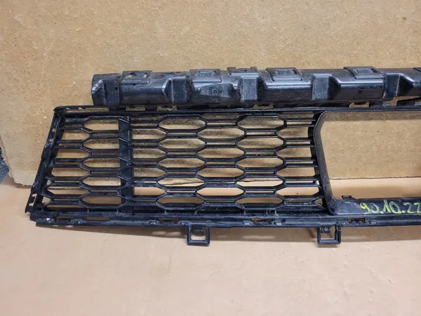 Griglia BMW M1 F40 OEM 51118070941 image 2