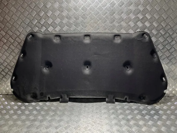 ISOLAMENTO CAPÔ FORD KUGA MK3 2020- LV4B-S16738-AA image 1