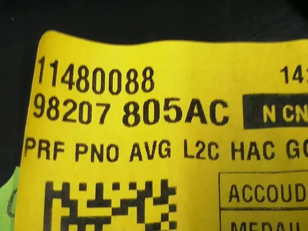 Painel da porta dianteira esquerda DS3 Crossback 98207805AC image 6