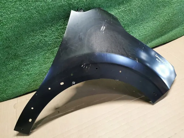 Fram Höger Skärm CITROEN C3 III 16-19 9812868980 image 3