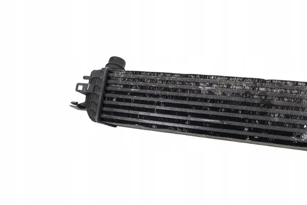 Intercooler Renault Laguna III 2.0 DCI 2007-2015 image 2