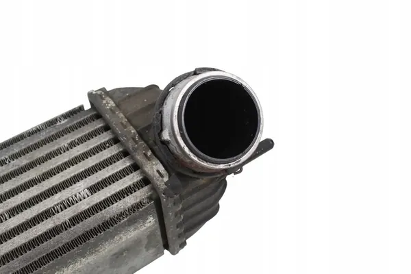 Intercooler Renault Laguna III 2.0 DCI 2007-2015 image 6