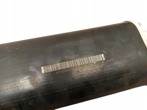 Kraftstoffdampf-Kohlefilter OEM 06700305830 image 5