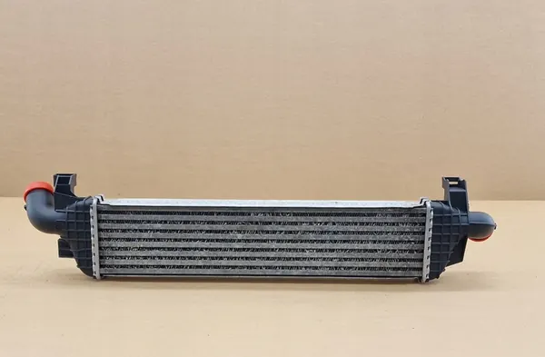 Intercooler per Fiat Ducato, Ford C-Max, Focus, Grand Kuga image 2