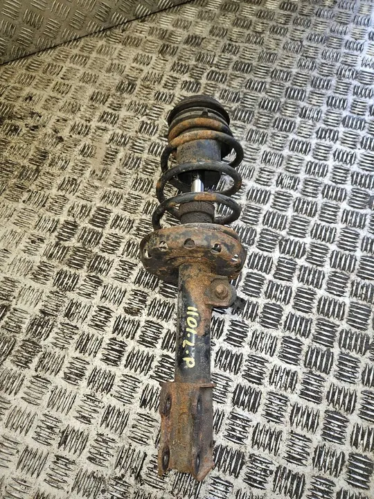 Ammortizzatore anteriore lato sinistro Opel Zafira A 22171135 image 4
