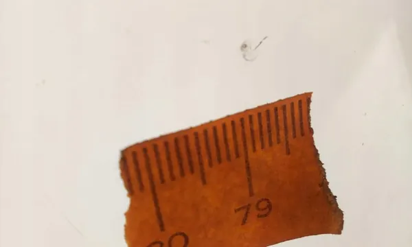 Frontscheibe BMW 1er Serie E81 E82 E87 E88 2004- OEM image 4