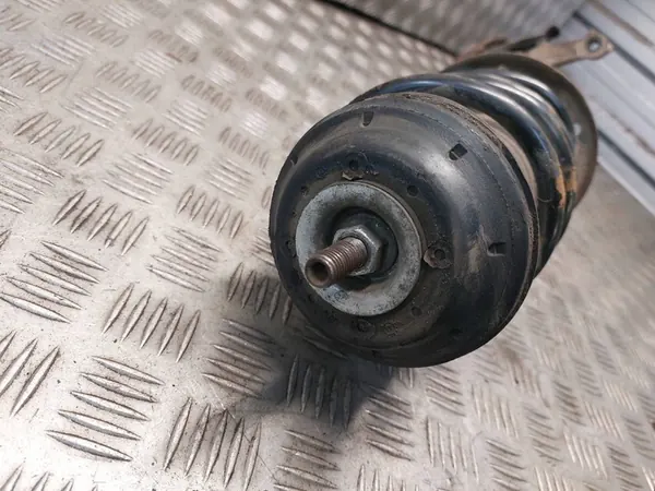 Ammortizzatore Anteriore Destro Fiat Grande Punto I 51796542 image 5