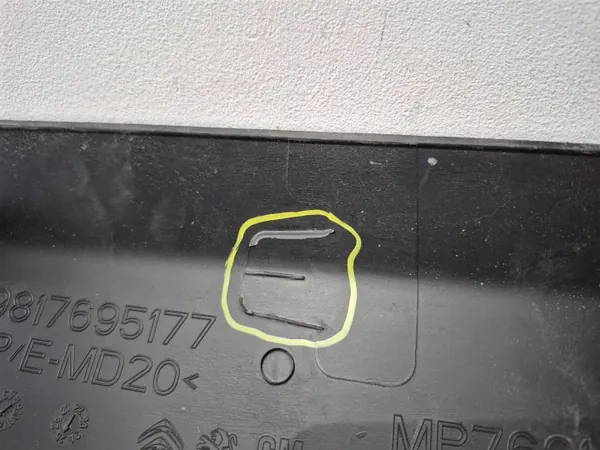 OEM 9817695177 Panneau de Porte Arrière Droit image 6