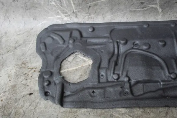 OEM 7029639 Dörrskumisolering Vänster Fram BMW Z4 E89 image 5