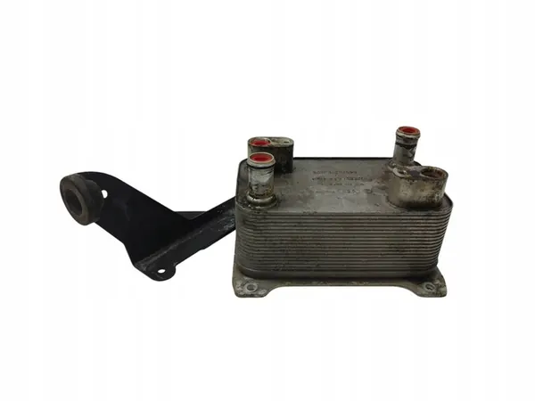 2007 Volkswagen PASSAT B6 Radiador de óleo 4E0317021H image 4