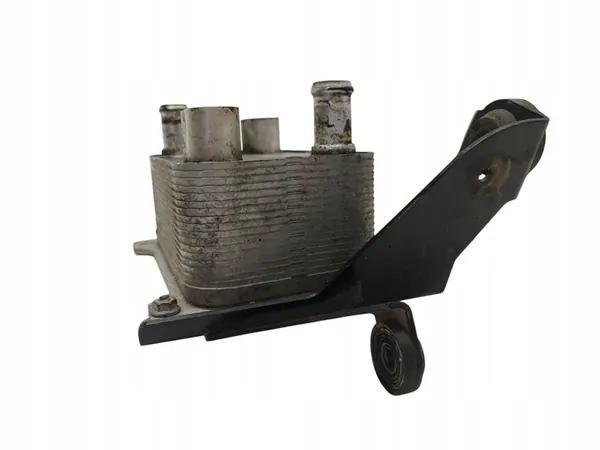 2007 Volkswagen PASSAT B6 Radiador de óleo 4E0317021H image 7