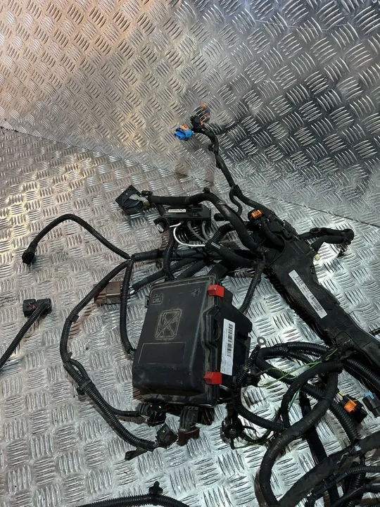 Fiação Longitudinal Esquerda Opel Grandland X 17- 1.2 THP image 3