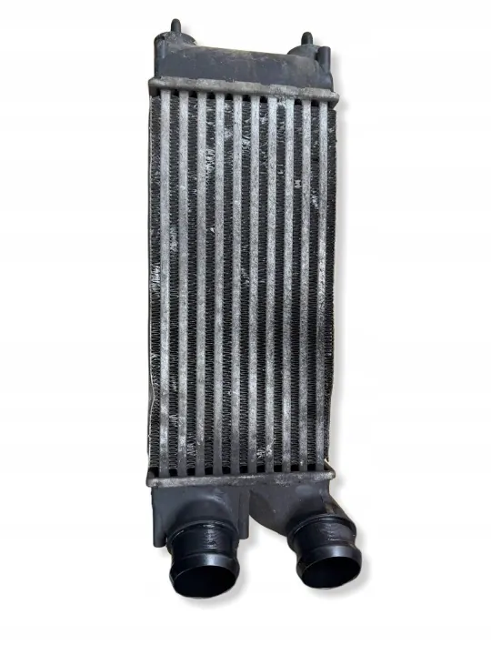 Intercooler-jäähdytin OEM 9656503980 Citroën C4:lle image 4