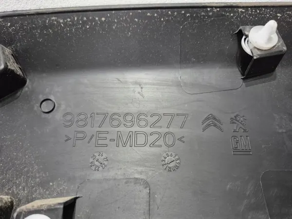 OEM 9817696277 Oikea Etuoven Paneli image 7