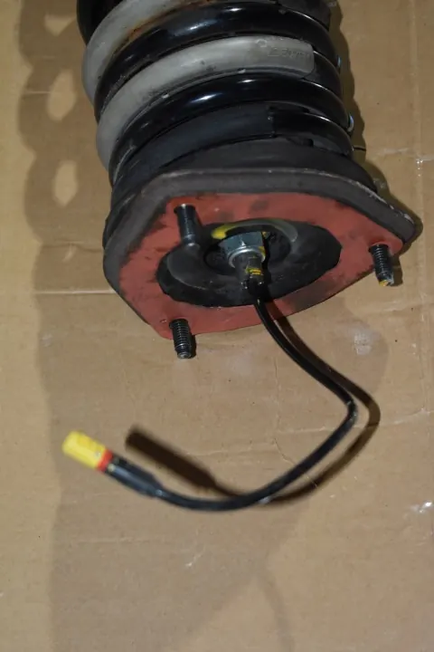 Achter Schokdemper OEM 5555 voor Nissan GT-R R35 image 3