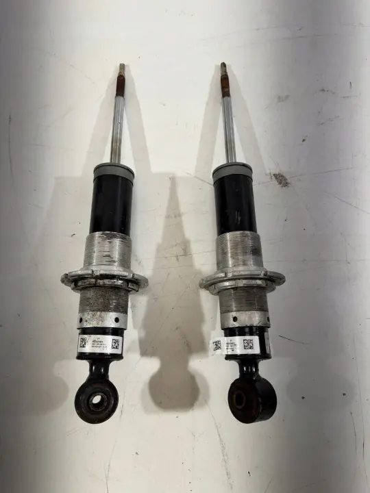 Coilover Front Suspension Ferrari 599 GTB 22229421 image 2