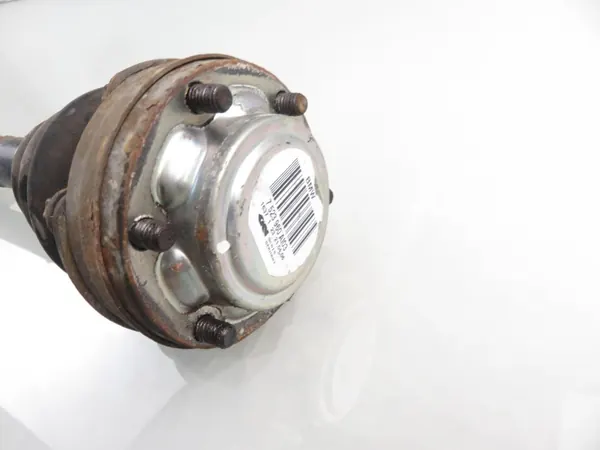 POLOS PT 7523960 image 3