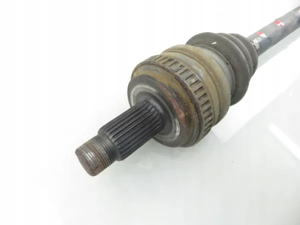 POLOS PT 7523960 image 4