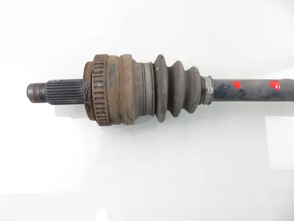 POLOS PT 7523960 image 5