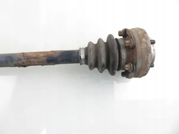 POLOS PT 7523960 image 6