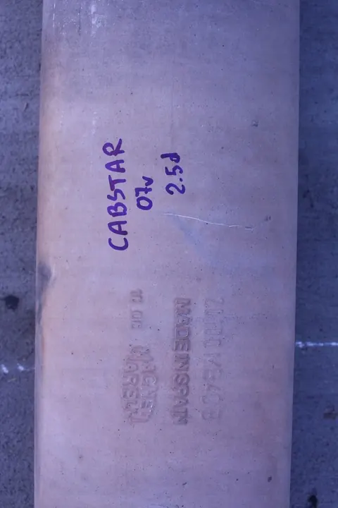 Escape Nissan Cabstar 2.5D image 4