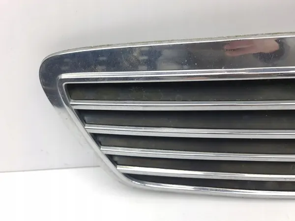 Mercedes-Benz S W220 2001 Griglia / Copertura Radiatore image 10