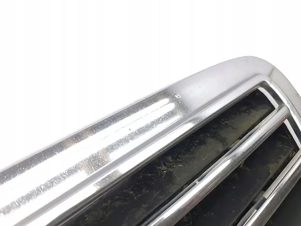 Mercedes-Benz S W220 2001 Griglia / Copertura Radiatore image 4