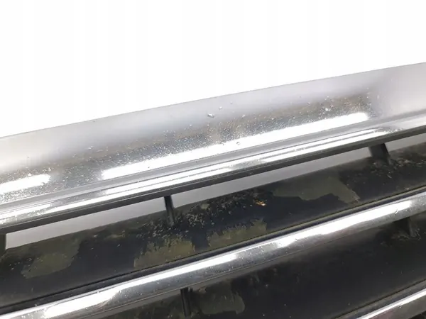 Mercedes-Benz S W220 2001 Griglia / Copertura Radiatore image 6