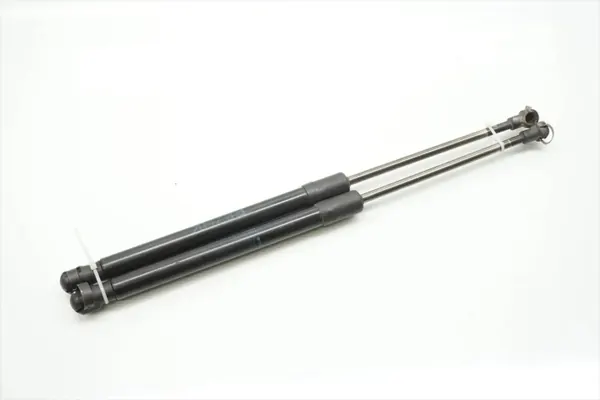 BMW OEM takaluukun vaimennin 1-sarja 2010 hatchback image 2