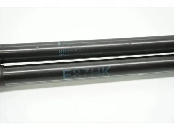 BMW OEM takaluukun vaimennin 1-sarja 2010 hatchback image 9