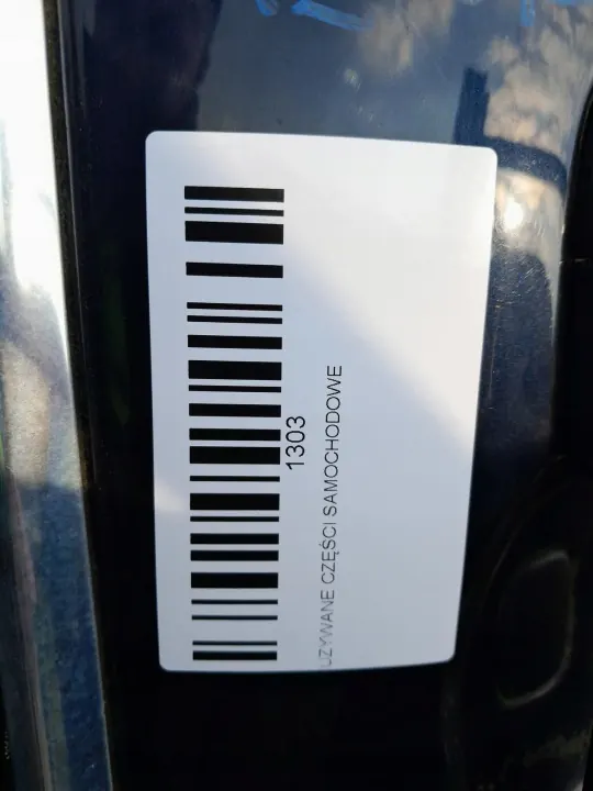 Linker achterdeur OEM 360207070 Renault Laguna III image 8