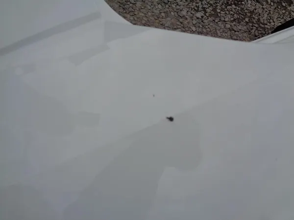 Paraurti posteriore VW Volkswagen Golf 7 VII Kombi Lift 2017- LC9A image 7