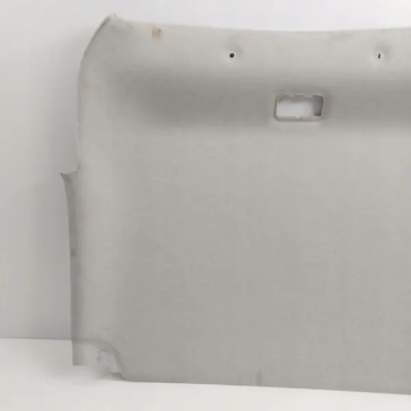 OEM 96833668 Techo para Citroen C3 II (SC) image 3