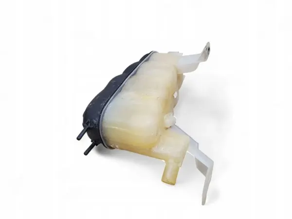 Uitvloeireservoir Chevrolet Suburban OEM 84368362 image 5