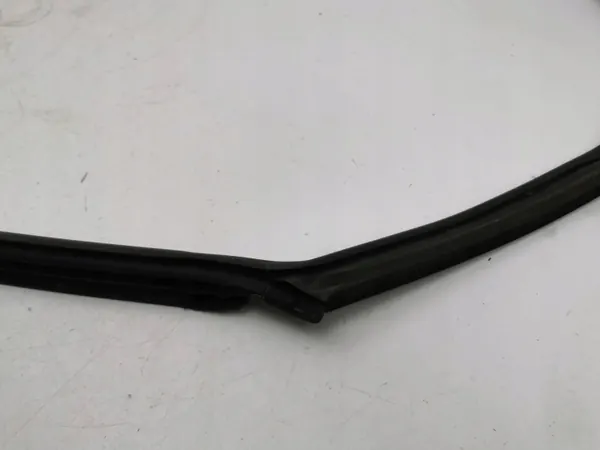 Junta puerta trasera OEM AMD138518 para Volkswagen Arteon image 6