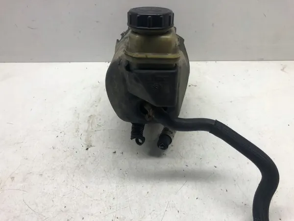 Bomba de direção assistida Renault Laguna III Coupe 2.0 dCi 491109313R image 2