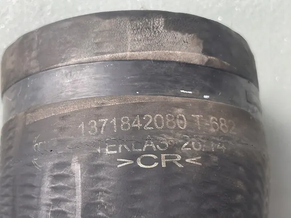 Mangueira Intercooler FIAT DUCATO, BOXER 2.2 HDI B10026 image 5