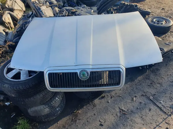 Mangueiras de direção assistida Skoda Octavia 1 2000 1.9 TDI image 8