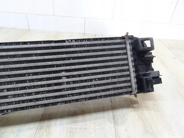 Intercooler Opel Vivaro Renault Trafic 1.6 D image 7