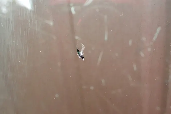 Framruta kamera sensor Honda Odyssey Elite 2018 image 3