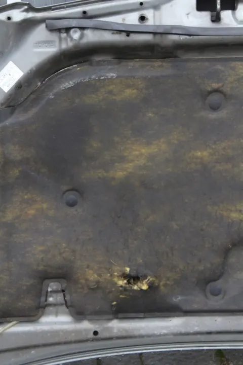 Tapis d'insonorisation capot Toyota OE OEM image 3