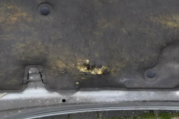 Tapis d'insonorisation capot Toyota OE OEM image 7