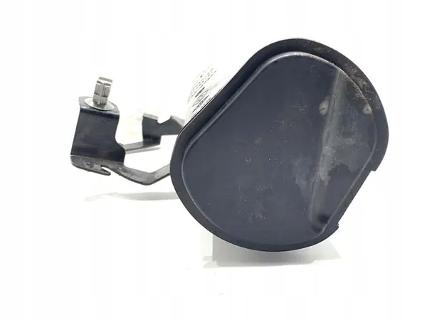 Filtre à charbon Renault Grand Scenic IV 1.3 140CV image 2