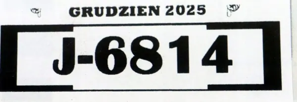 OEM 3J0941654 Höger LED DRL-Grill för VW Passat B9 image 10