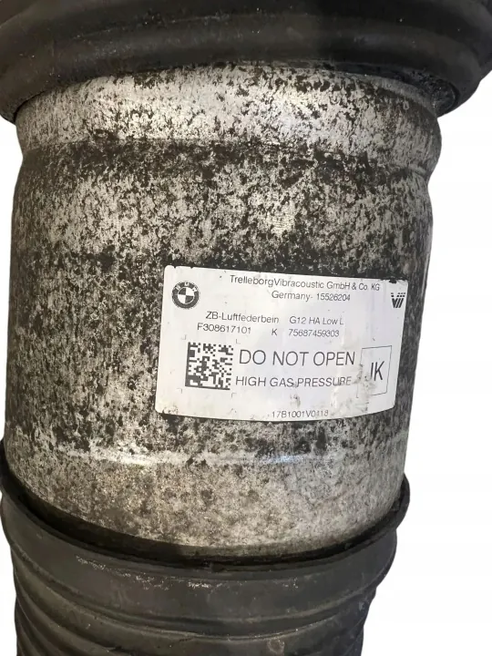 Hinterer Luftfederdämpfer OEM 6874593 für BMW image 9