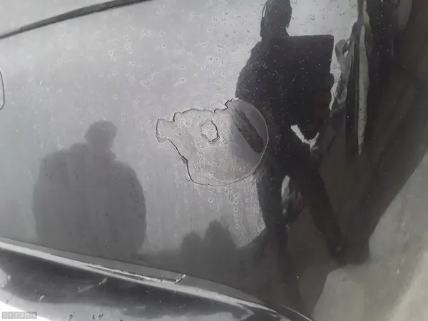 Paraurti posteriore BMW 7 Series E65 51128223255 image 6