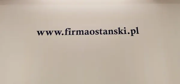 Cuscinetto posteriore VW ID.3 ID.4 SKODA ENYAQ 3QF407621J image 5