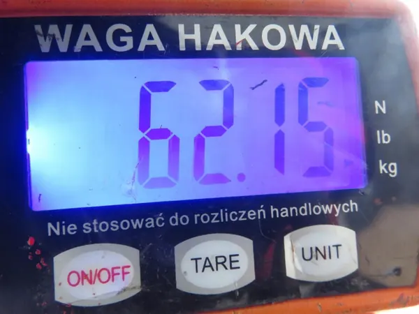 Hinterachsträger OEM BELKA TYŁ PEUGEOT 206 HB - Gebraucht image 10
