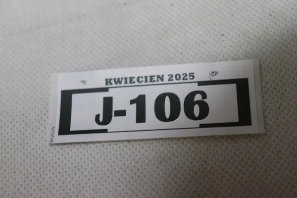 CITROEN C3 2016-2020 Paraurti posteriore image 10