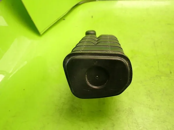 Filtro carbone DACIA LOGAN II LIFT 2017 H8201588838 image 3